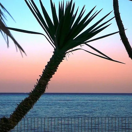 Oasis