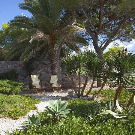 Oasis 4*